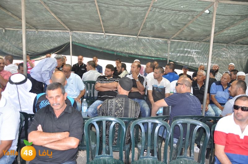 sol7desoqylud615 (4).JPG